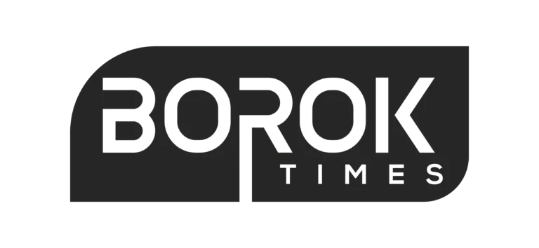 Borok Times Logo